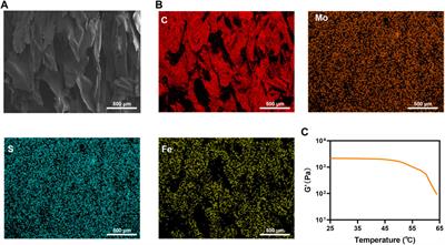 A novel dual MoS2/FeGA quantum dots endowed injectable hydrogel for efficient photothermal and boosting chemodynamic therapy